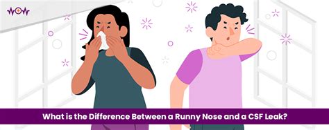 The Difference Between a Runny Nose and a CSF。